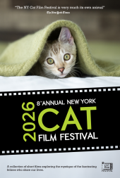 New York Cat Film Festival - 2026