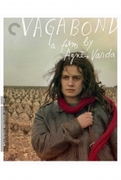 Vagabond