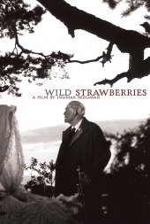 Wild Strawberries